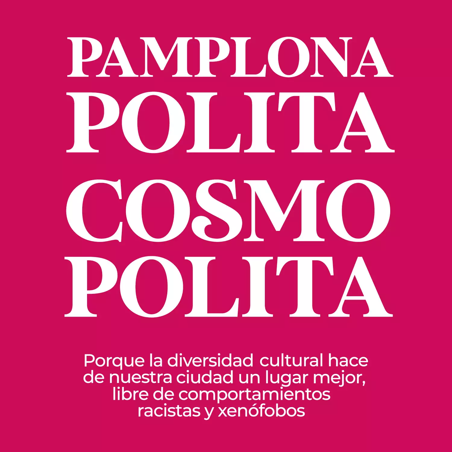 El Ayuntamiento y las asociaciones que trabajan sobre diversidad cultural en Pamplona proponen a la ciudadanía este sábado un encuentro festivo en el Patio de Gigantes