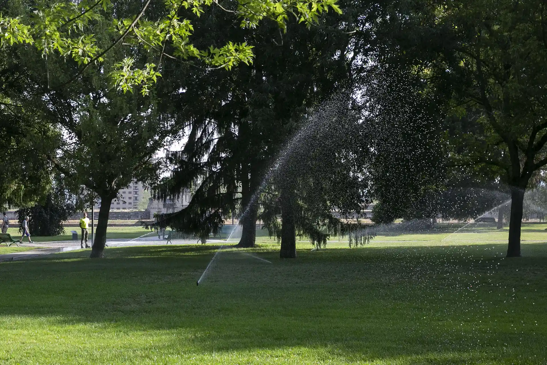 Pamplona limita en un 20% el riego de sus jardines ante la escasez de precipitaciones y las elevadas temperaturas, siempre sin comprometer la supervivencia de los jardines