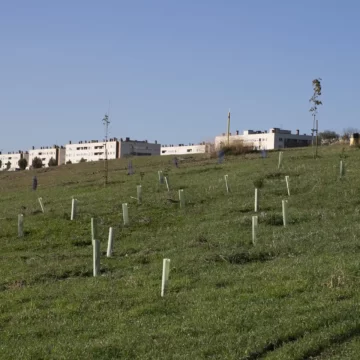 El Ayuntamiento de Pamplona da por terminada la creación del bosque ‘secuestrador de dióxido de carbono’ que durante los próximos 30 años crecerá en Agustinos