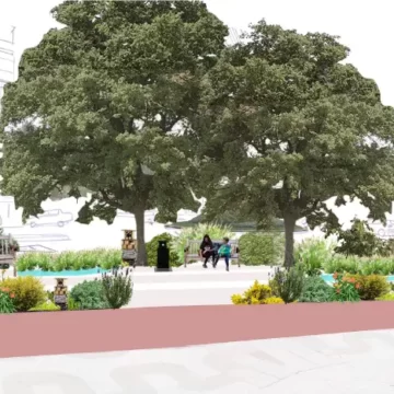 Jardines de lluvia, mediana ‘bosque’ y un carril de circulación más estrecho para calmar el tráfico, el nuevo diseño de la calle Fuente del Hierro