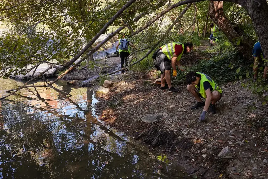 voluntarios ambiental