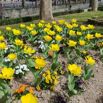 parterres pamplona